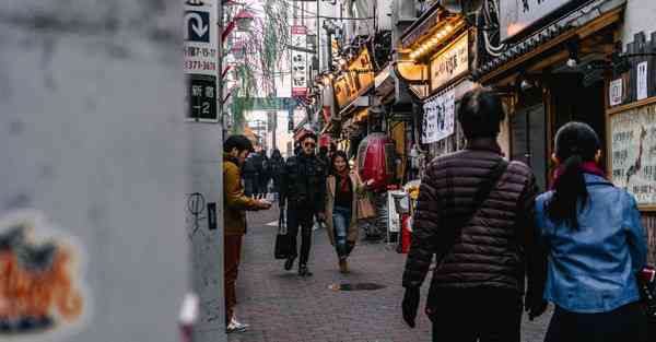 富贵竹风水摆放三不要，家居物品摆放三不要